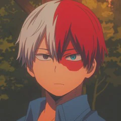 Shoto Todoroki